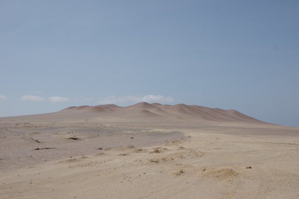 The nearby desert reserve