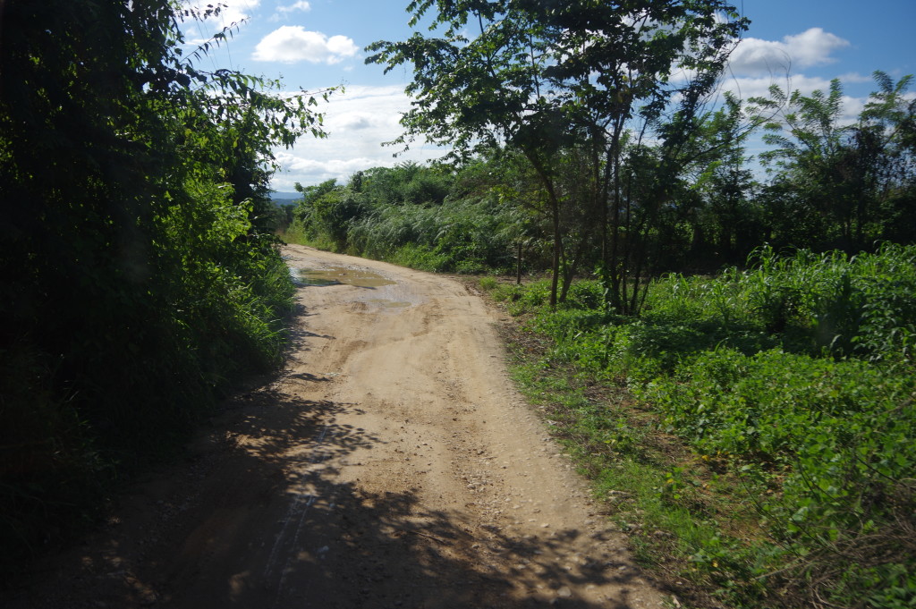 Dirt road towards Flores