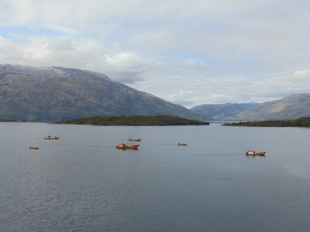 Lots of little boats at the intermediate stop in Puerto Edén