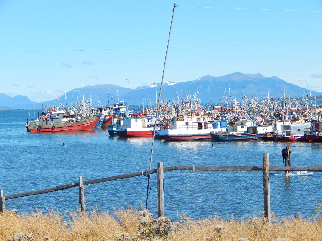 Docks of Puerto Natales (Photo: Jeff Perry)